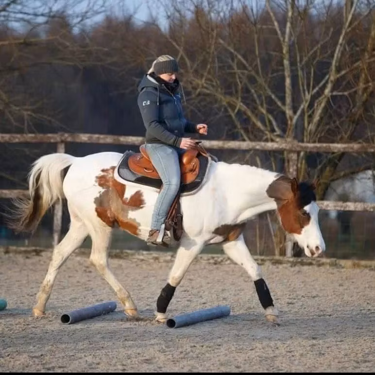 Westernpad Med Renskinn Bartl Square