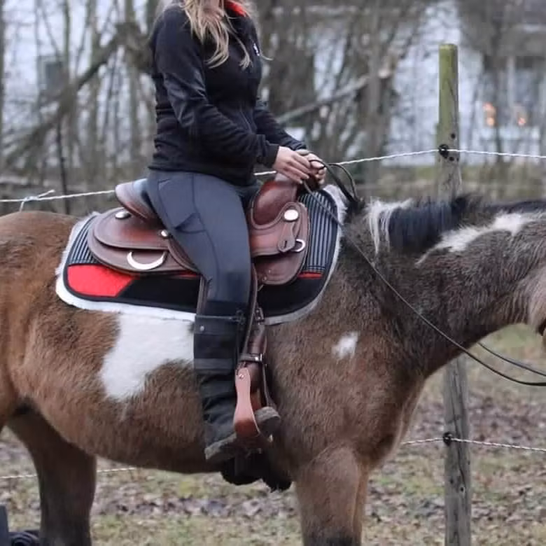 Westernpad Med Renskinn Bartl Square