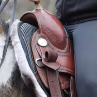 Westernpad Med Renskinn Bartl Square