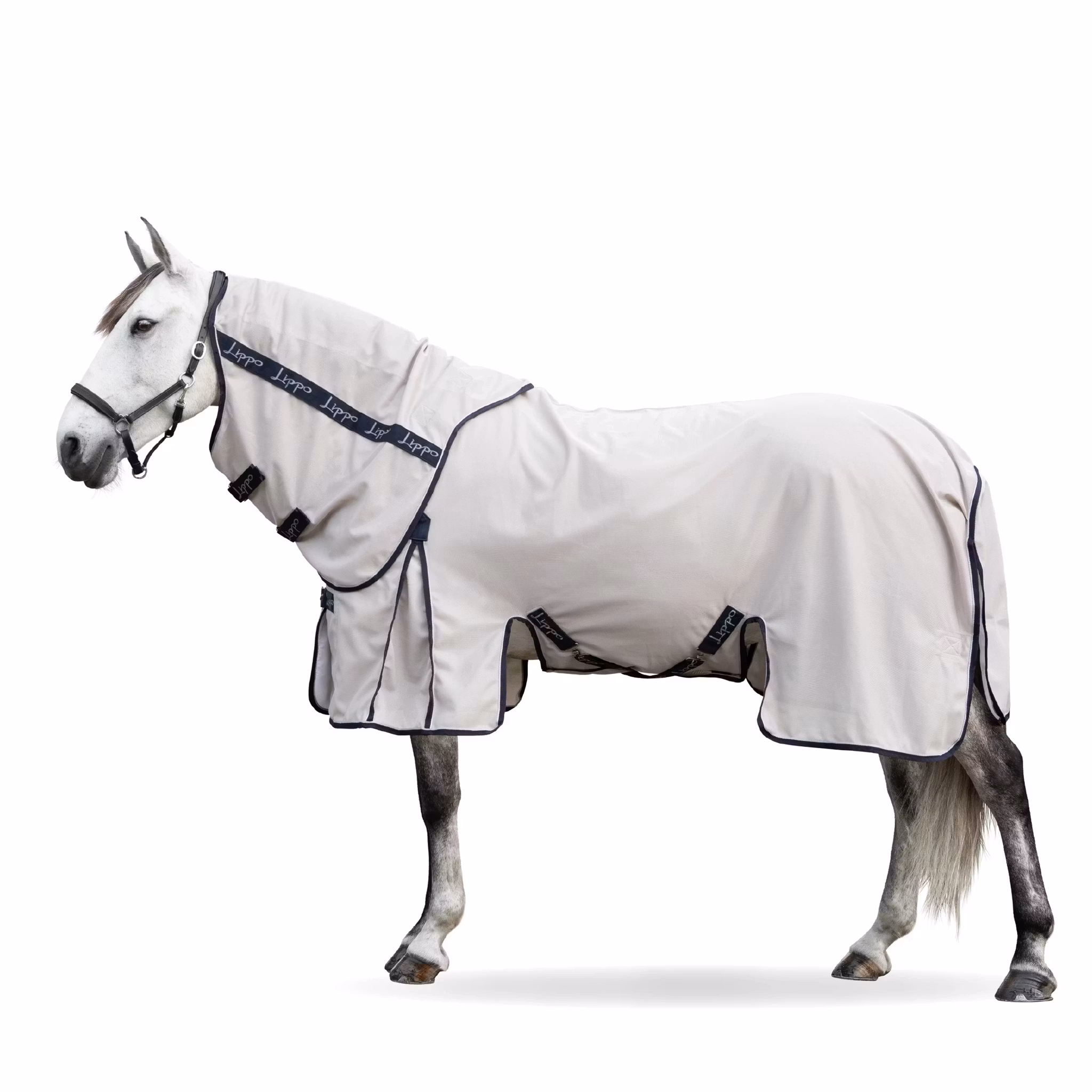 Lippo Pro Series Flyrug