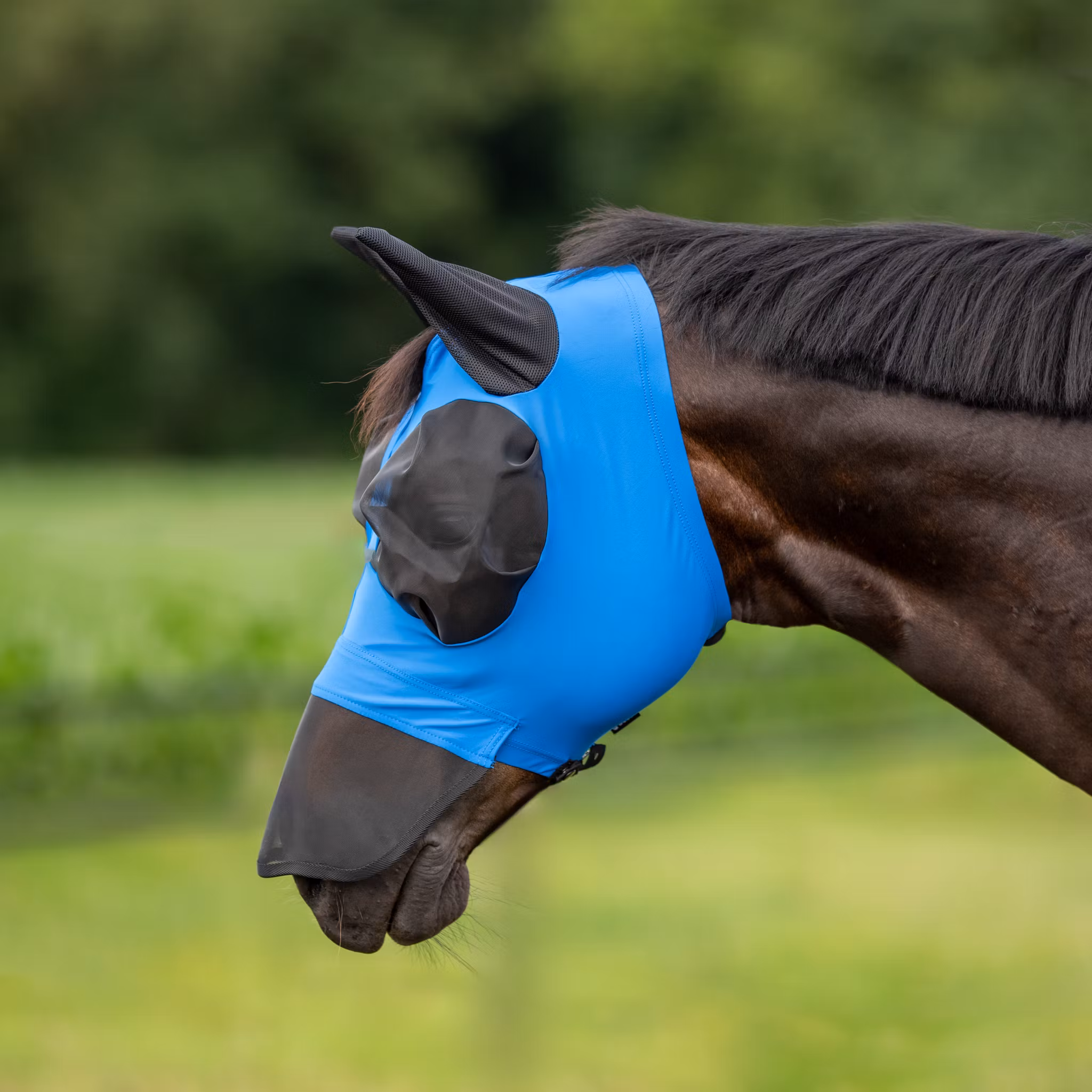 Busse Fly Mask Twin Fit Flexi Royal Summer