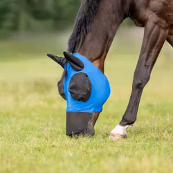 Busse Fly Mask Twin Fit Flexi Royal Summer