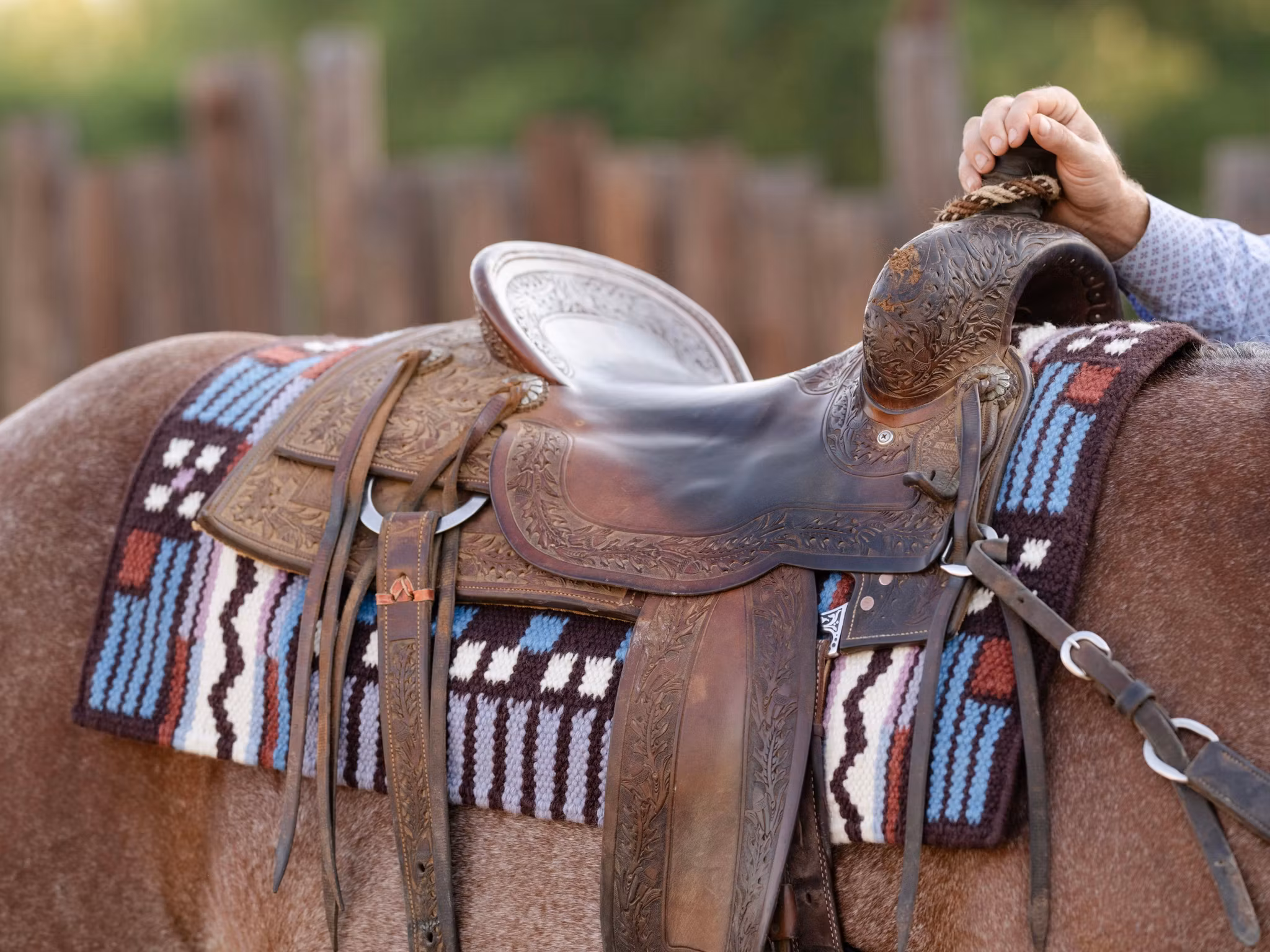 Professional´s Choice Showblanket SB 2 Extra Heavy Plum