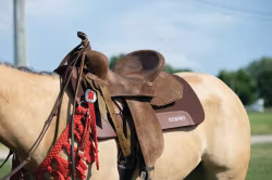 Weaver Saddlepad 100% Merinoull Brown