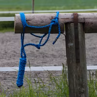 All That Braided Rope Halter Turquoise
