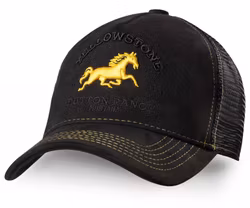 Stars & Stripes Trucker Cap Yellowstone -10