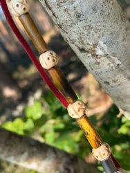 Lucky Charm 3