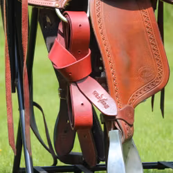 All That Latigo no. 2 - 185cm