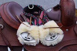 All That Cinch Protector