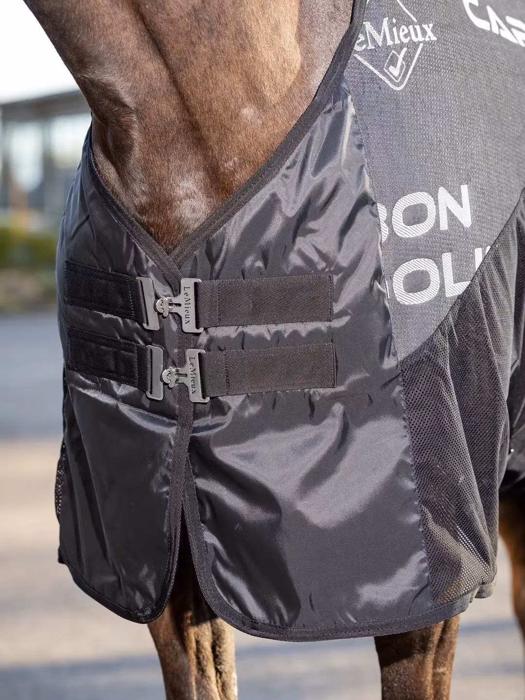 Le Mieux Carbon Cooler Rug