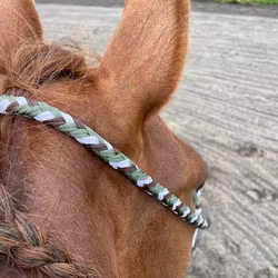 All That Looping Hackamore