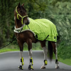 HKM Horse Walker Reflex