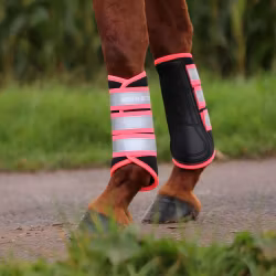 Arma Equi-Flector® Benskydd Pink