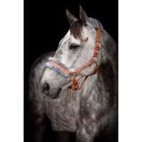Grimma Horse Unique Rost