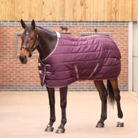 Tempest Original Stalltäcke Burgundy 300 g