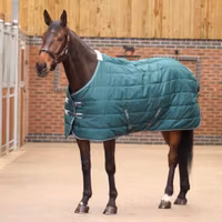 Tempest Original Stalltäcke Green Emerald 200 g