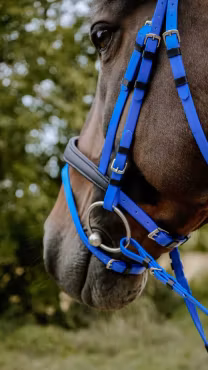 Norton Bridon Endurance Pop Royal Blue
