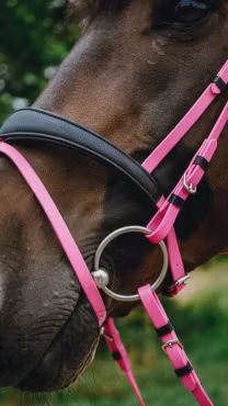 Norton Bridon Endurance Pop Pink