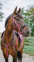Norton Bridon Endurance Pop Pink
