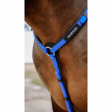 Norton Collier De Chasse Endurance Pop Royalblue