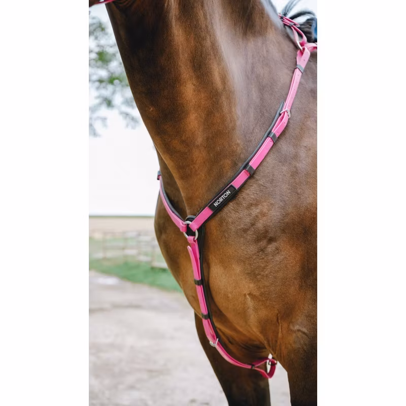 Norton Collier De Chasse Endurance Pop Pink