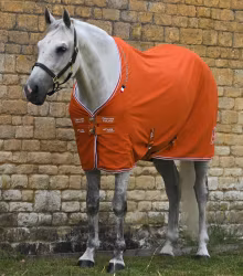 Premier Equine Atlas Horse Cooler Rug Burnt Orange