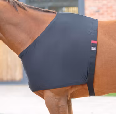 Shires Elastiskt Anti-Skav Bogskydd Black