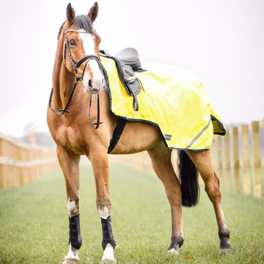 Busse Riding Rug SHINE 100
