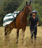 Vellus Horse Fleece Exercise Rug Green/White