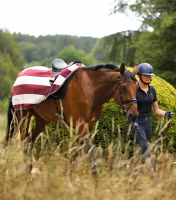 Vellus Horse Fleece Exercise Rug Burgundy/White
