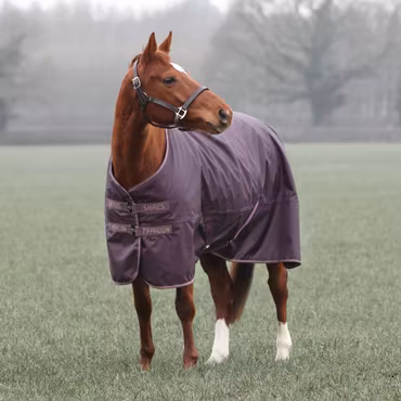 Shires Typhoon Täcke Black Cherry 100 g