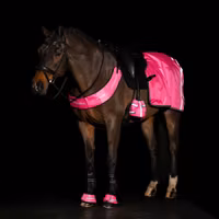 Imperial Riding Reflexländtäcke Neon Pink