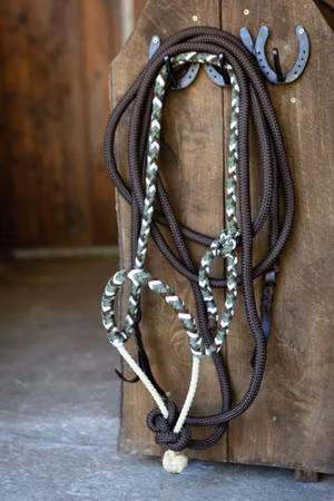 All That Looping Hackamore