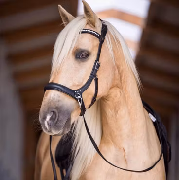 F.R.A® 'Rebecca Anatomiskt Sidepull Med Tyglar Svart