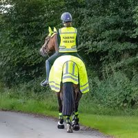 Woof Wear Winter Hi Vis Exercise Sheet Hi Viz Yellow