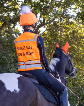 Woof Wear Hi Vis Vest Orange