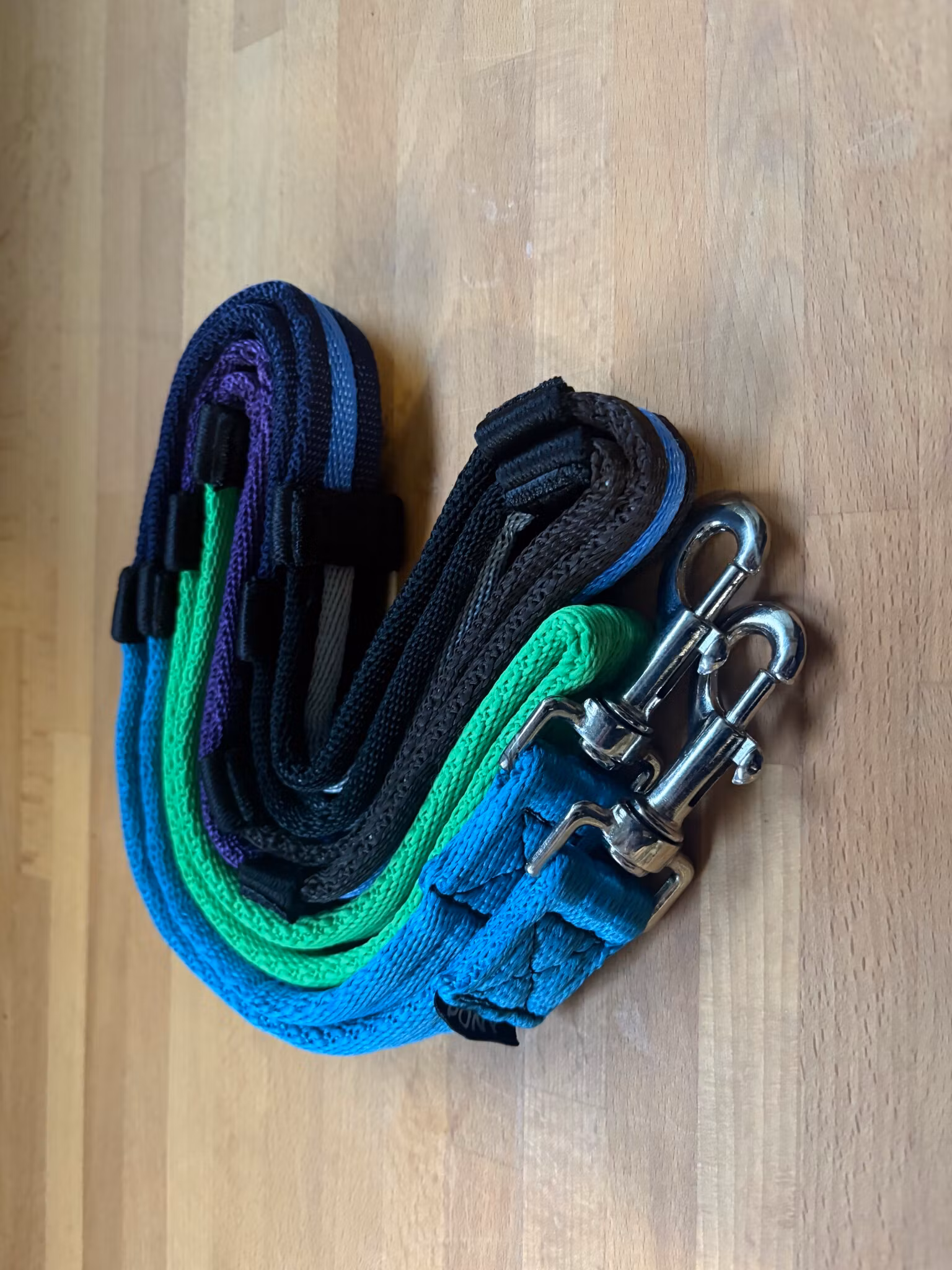 Norton Club Training Reins