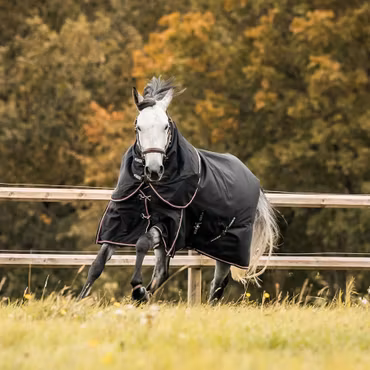 Asker Plus Täcke + Hals 200 g 1200D Black