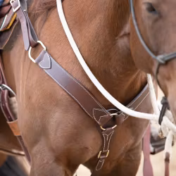 ATW All That Collection Oklahoma Breastcollar