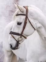 Jacson Träns London