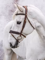 Jacson Träns London