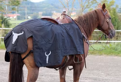 All That Riding Rug Black