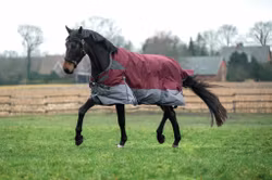 HKM Highneck Rug Yukon- 600D 200g filling