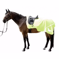 Skrittäcke med reflexränder