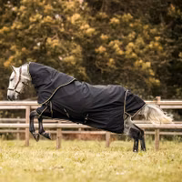 Asker Plus Täcke + Hals SET 100g 1200D Black