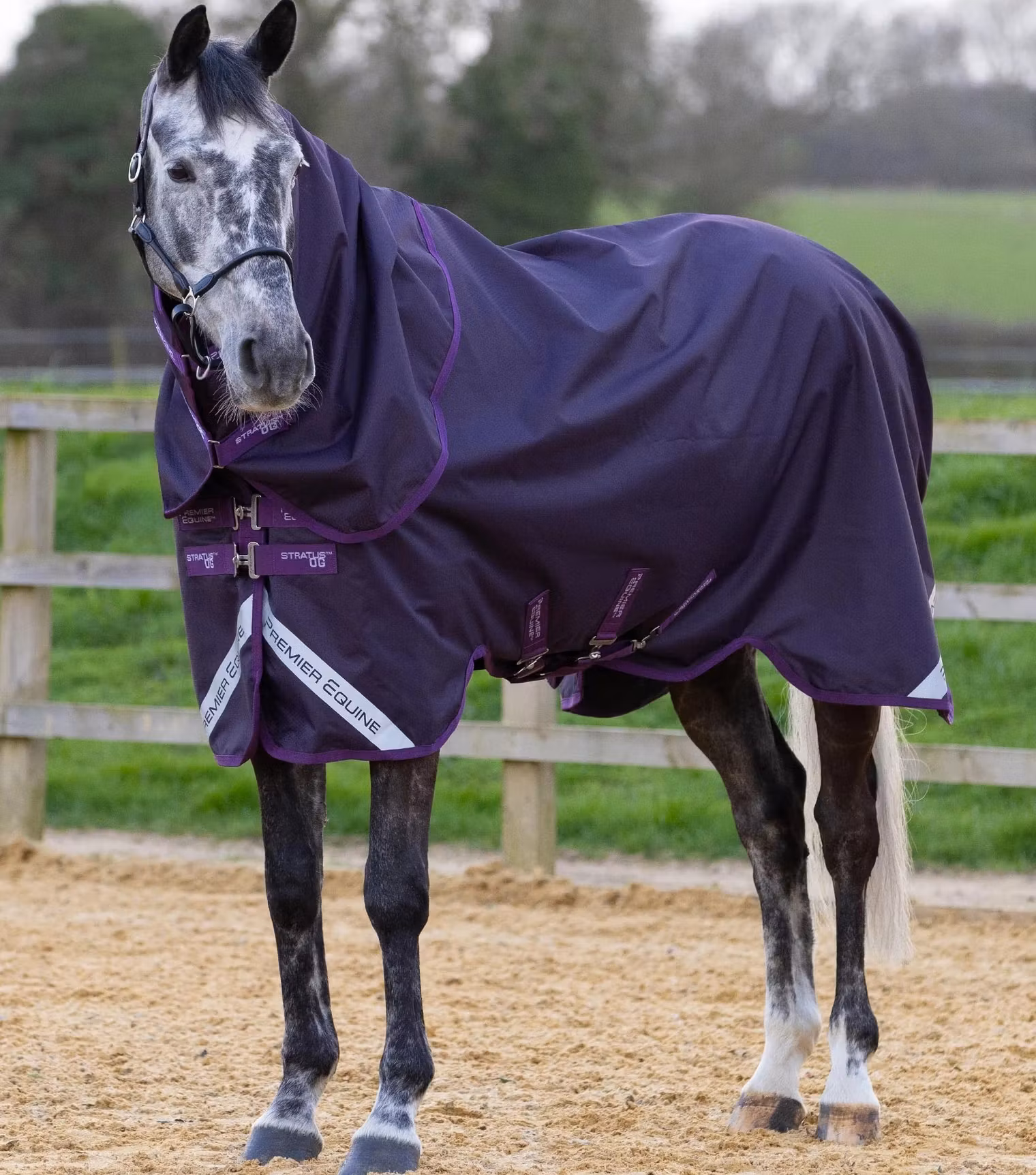 Stratus 600D Series 0g Turnout Rug with Classic Neck Cover Purple