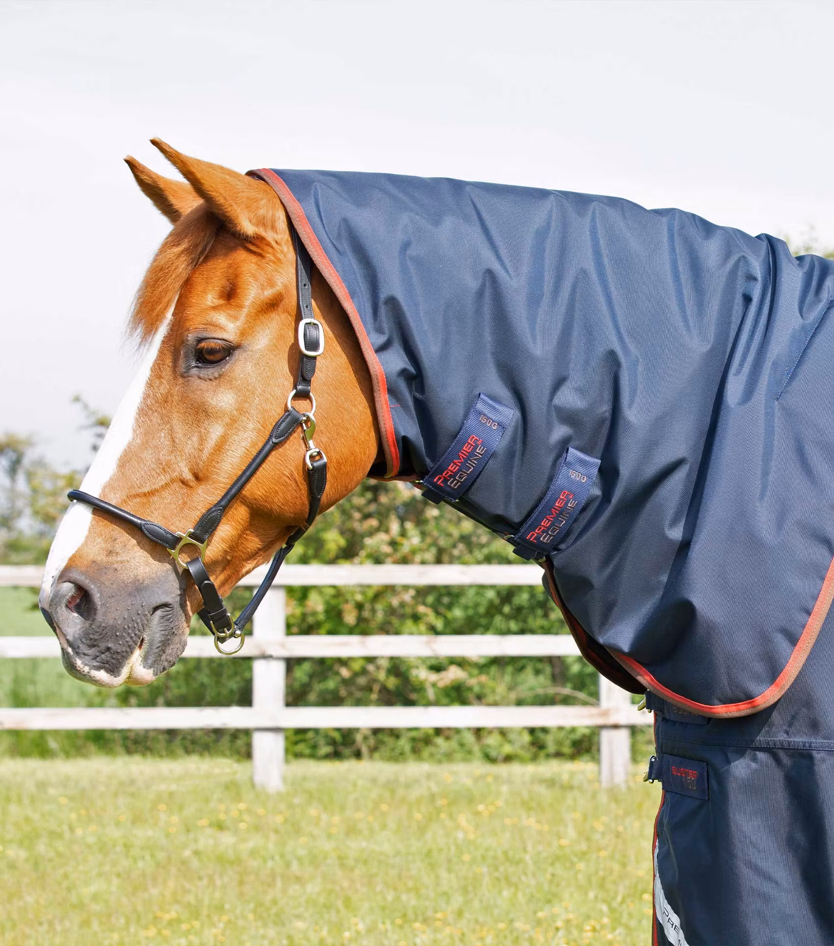 Premier Equine Buster 150g Turnout Rug with Classic Neck Cover Navy