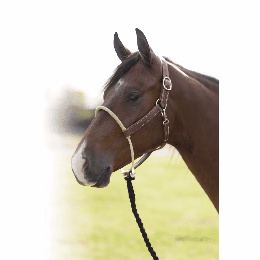 Profosseional´s Choice Ranch Halter Rawhide Rope Nose