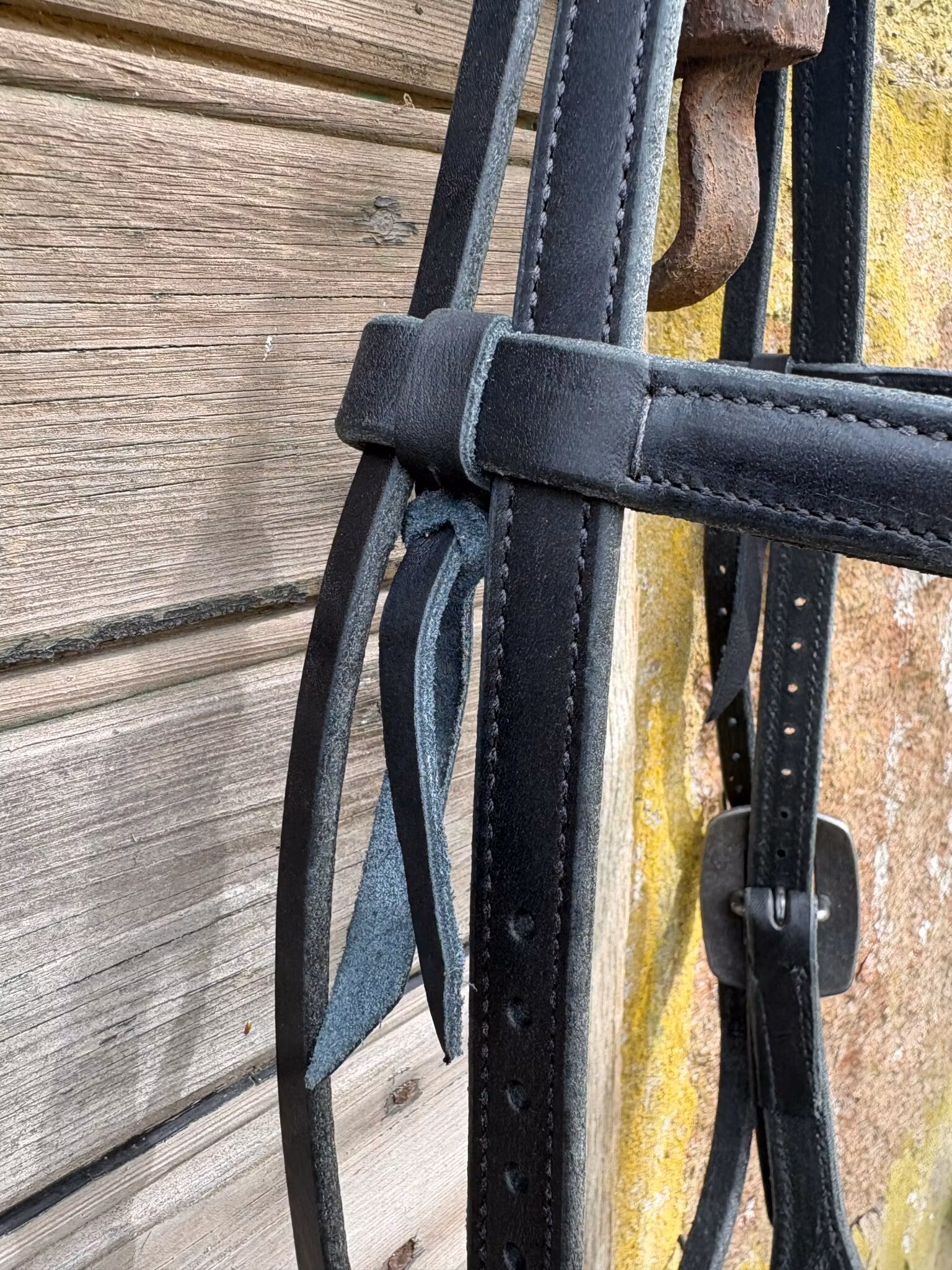 Professional´s Choice Back Latigo Headstall