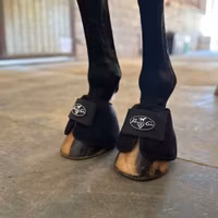 Professional's Choice Ice Bell Boot